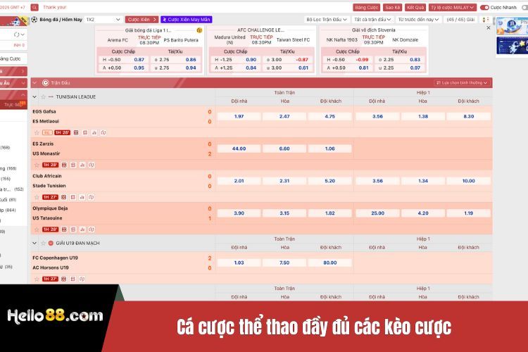 Cá cược thể thao đầy đủ các kèo cược