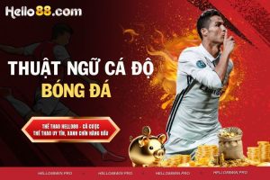 Thuật ngữ cá độ bóng đá - Giải mã các từ ngữ cần biết
