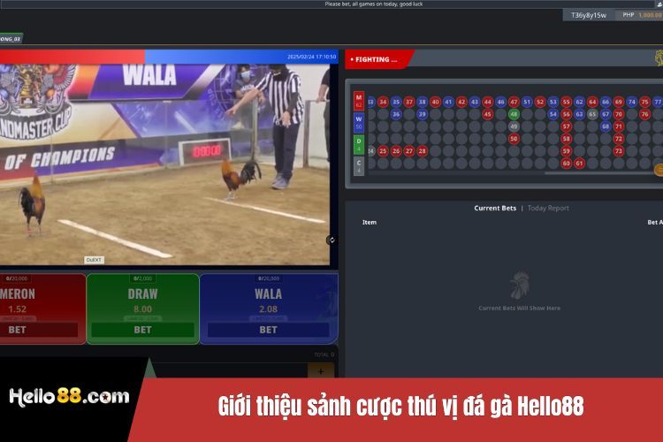 Giới thiệu sảnh cược thú vị đá gà Hello88