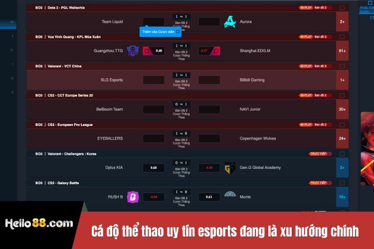 Cá độ thể thao uy tín esports đang là xu hướng chính