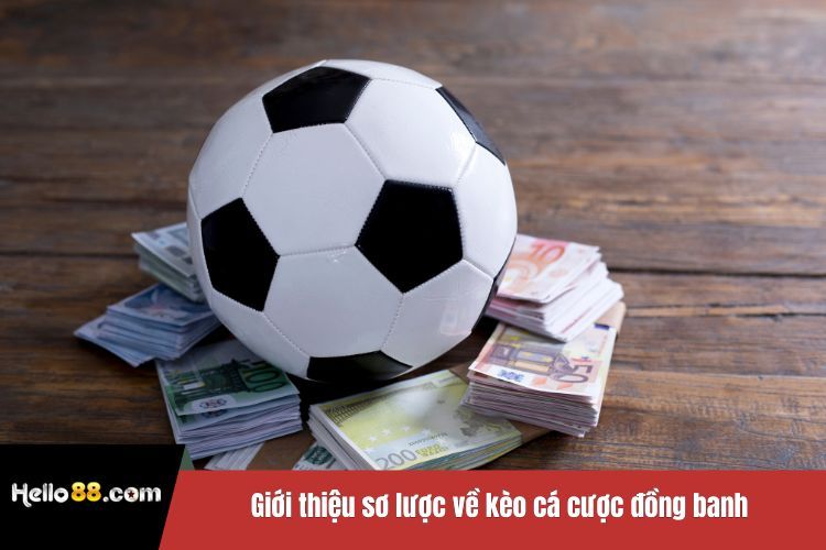 Giới thiệu sơ lược về kèo cá cược đồng banh