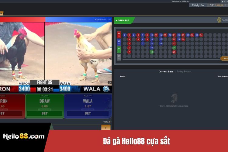 Đá gà Hello88 cựa sắt