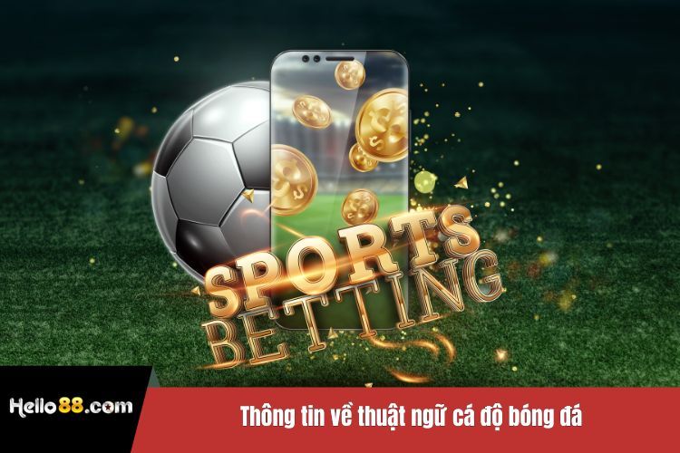 Thông tin về thuật ngữ cá độ bóng đá