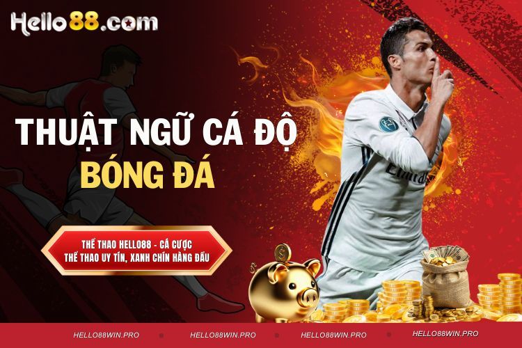 Thuật ngữ cá độ bóng đá - Giải mã các từ ngữ cần biết