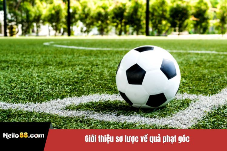 Giới thiệu sơ lược về quả phạt góc
