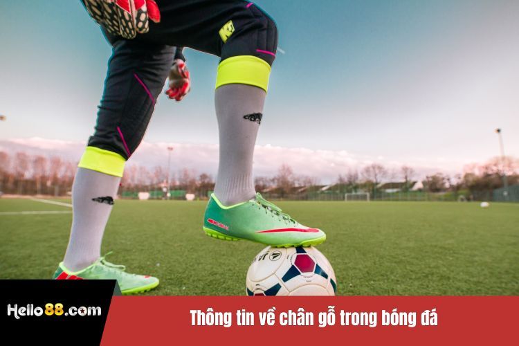 Thông tin về chân gỗ trong bóng đá